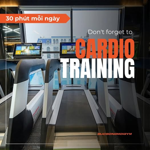 Kỷ nguyên mới của ngành Fitness: Không gian sống khỏe hội tụ tri thức tại SSM Gym